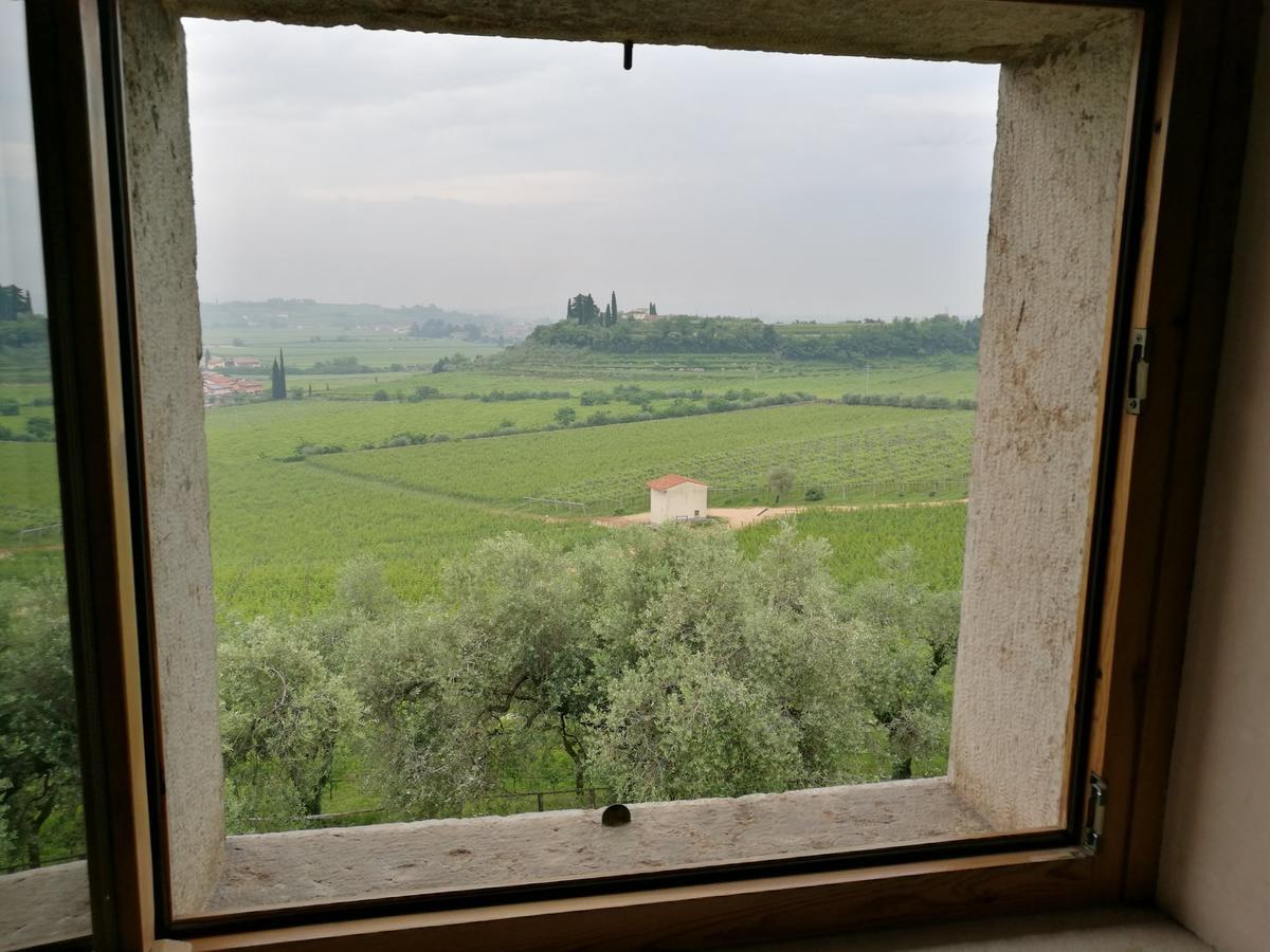 Costa Degli Ulivi 3*